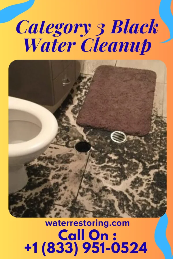 Category 3 Black Water Cleanup in Richlands, VA