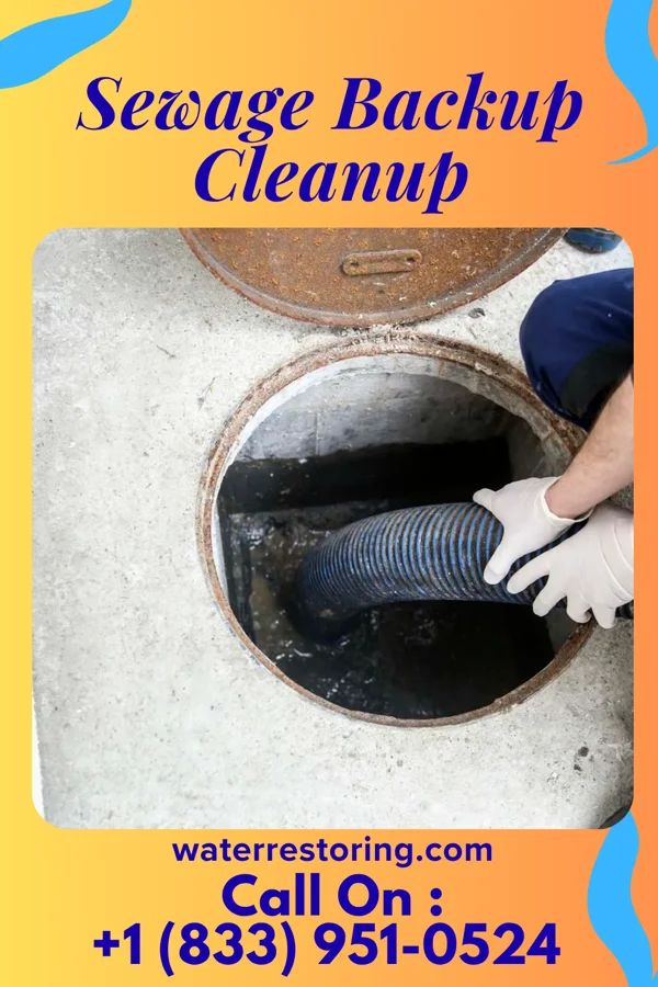 Sewage Backup Cleanup in Richlands, VA