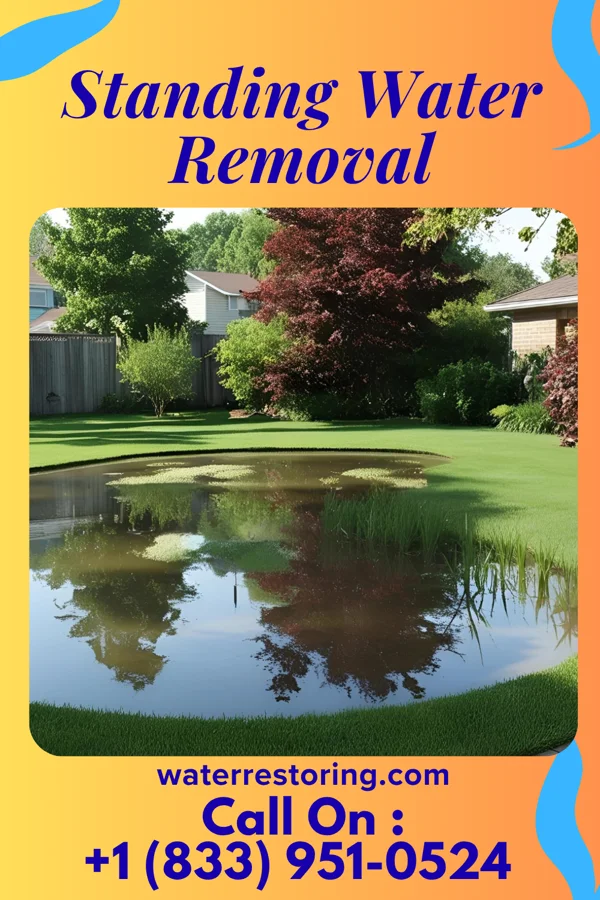 Standing Water Removal in Richlands, VA